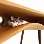 Деревянный стол с местом для кота